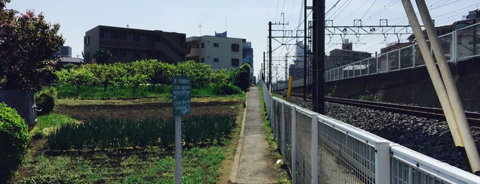 志木市第1号生産緑地地区 is one of 埼玉県_志木市.