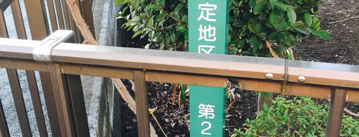 新座市生産緑地指定地区 第27号 is one of 木・緑地.