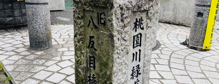 桃園川緑道 is one of 杉並区.