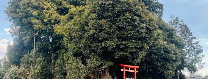 横見神社 is one of 神社_埼玉.