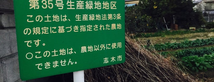 志木市第35号生産緑地地区 is one of 木・緑地.