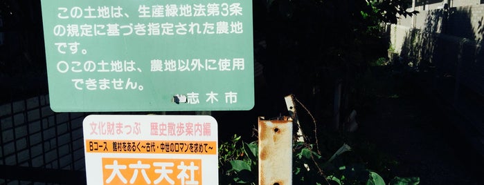 志木市第33号生産緑地地区 is one of 木・緑地.