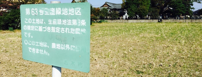 志木市第63号生産緑地地区 is one of 木・緑地.