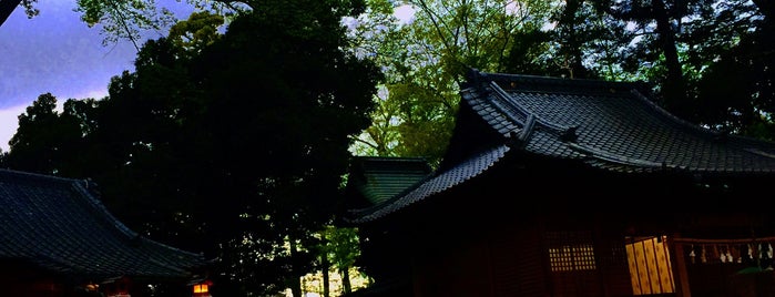 松山神社のカシ･モミ･イヌシデ [東松山市の名木 05] is one of 木・緑地.