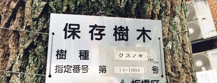 板橋区保存樹木 第14-1884号 クスノキ is one of 木・緑地.