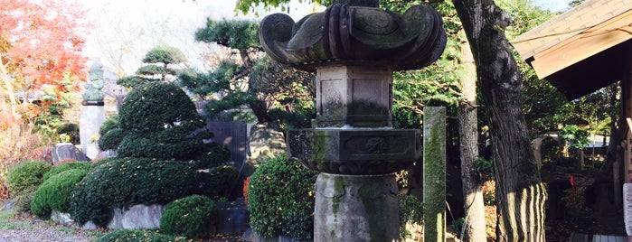 長徳寺 (川越観音) is one of 埼玉県_川越市.