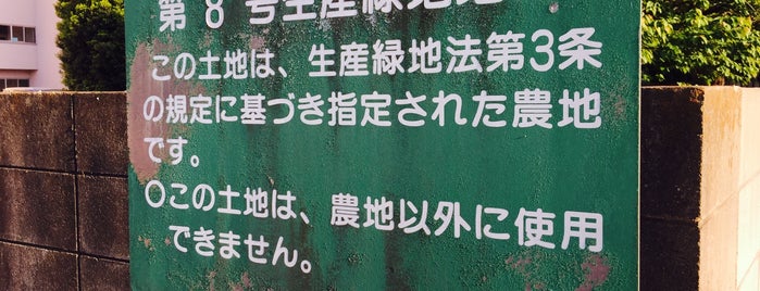志木市第8号生産緑地地区 is one of 木・緑地.