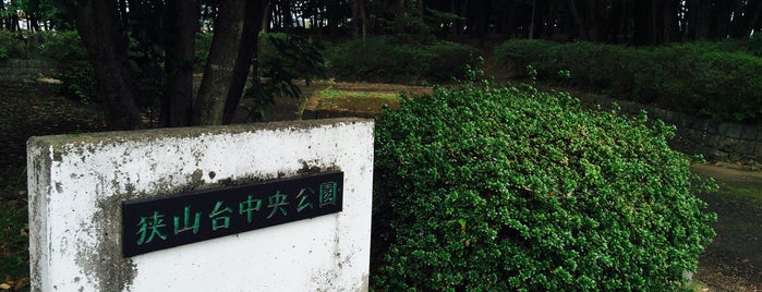 狭山台中央公園 is one of 公園_埼玉県.