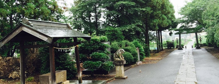 鷺大神社 is one of 神社_埼玉.