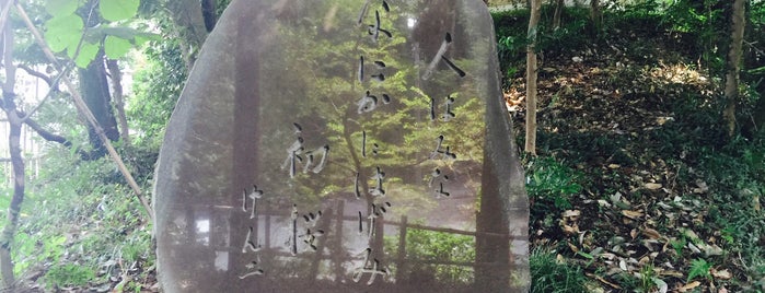 深見けん二句碑『人はみななにかにはげみ初桜』 is one of モニュメント・記念碑.