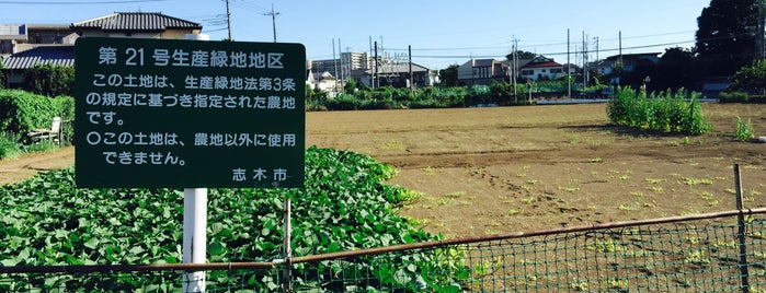 志木市第21号生産緑地地区 is one of 木・緑地.