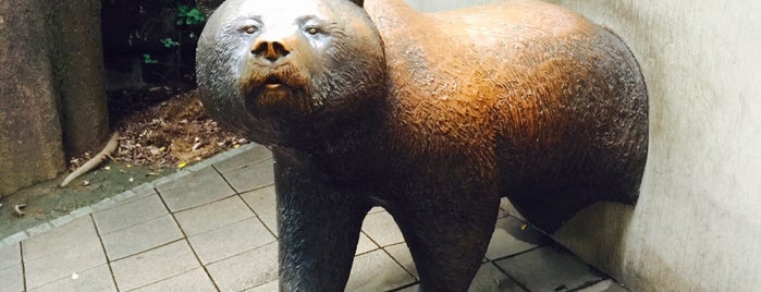 Brown bear monument is one of アート_東京.