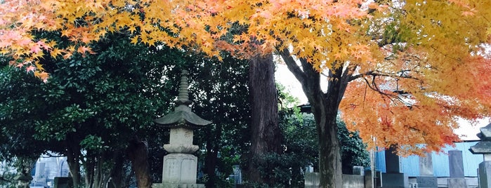 東明寺 is one of 埼玉県_志木市.