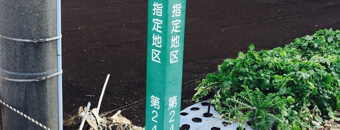 新座市生産緑地指定地区 第24号 is one of 埼玉県_新座市.