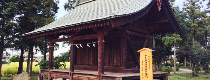 古尾谷八幡神社 旧本殿 is one of 埼玉県_川越市.