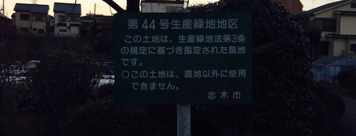 志木市第44号生産緑地地区 is one of 埼玉県_志木市.