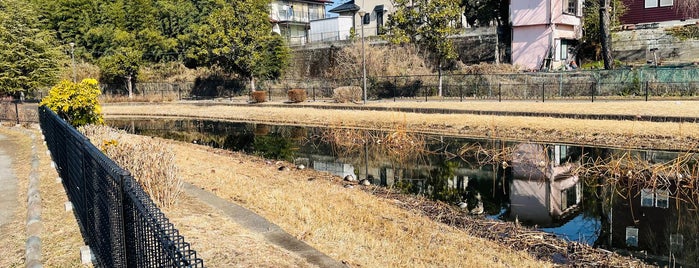 中丸公園 is one of 公園.