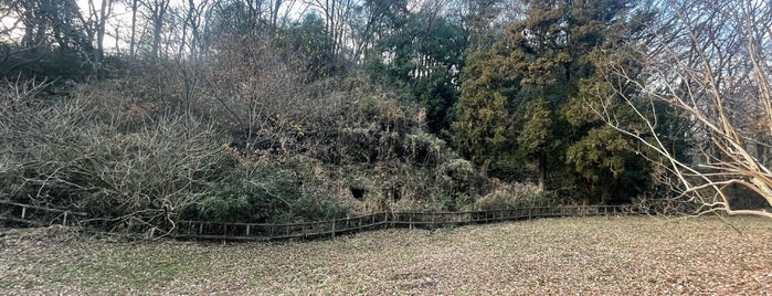 八丁湖 is one of 公園_埼玉県.