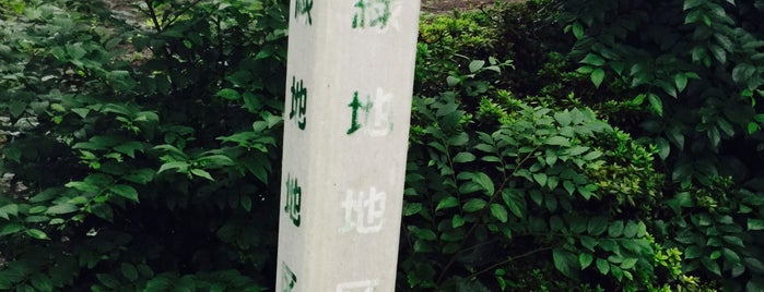 富士見市生産緑地地区 第15号 is one of 木・緑地.