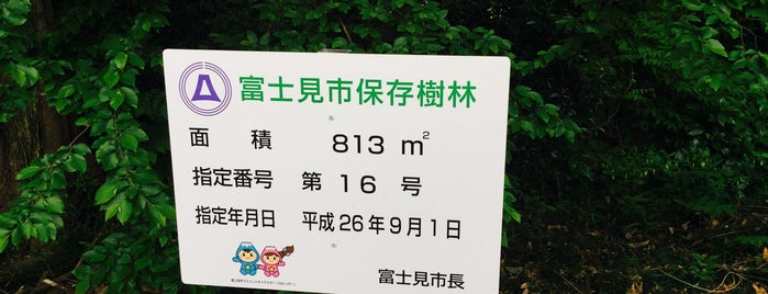 富士見市保存樹林 第16号 is one of 木・緑地.