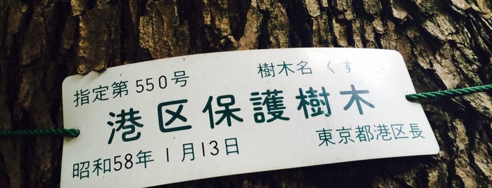 港区保護樹木 第550号 くす is one of 神社_東京都.