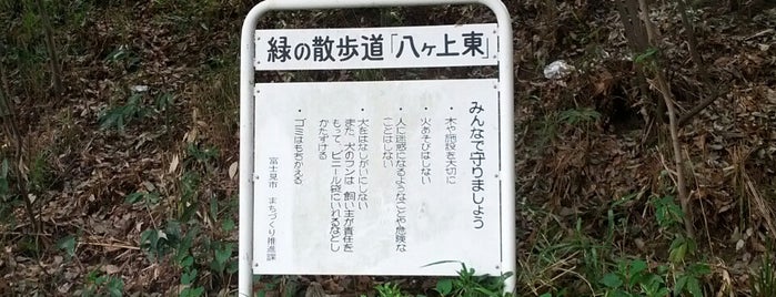 富士見江川親水公園 is one of 公園_埼玉県.