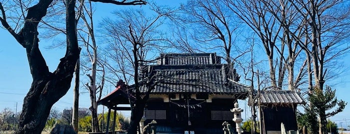 老袋氷川神社 is one of 神社_埼玉.