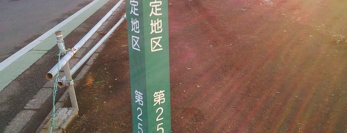 新座市生産緑地指定地区 第25号 is one of 埼玉県_新座市.