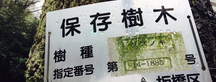 板橋区保存樹木 第14-1885号 クスノキ is one of 木・緑地.
