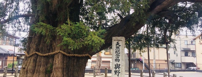妙行寺 金毘羅天堂 is one of 神社_埼玉.