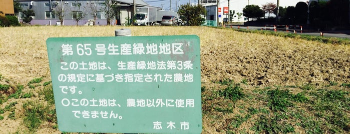 志木市第65号生産緑地地区 is one of 木・緑地.
