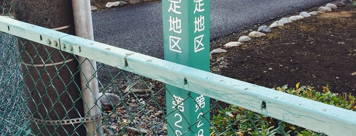 新座市生産緑地指定地区 第28号 is one of 埼玉県_新座市.