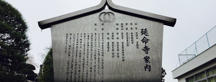 板橋区保存樹木 第53-214号 イチョウ 延命寺 is one of 木・緑地.