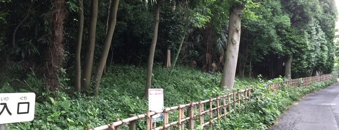 柏町ふれあいの森 is one of 公園_埼玉県.