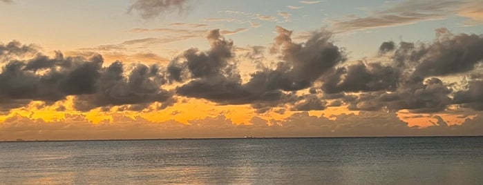 Thompson Beach House is one of Playa del carmen.