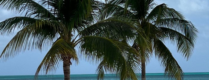 Isla de la Pasión is one of Cozumel.