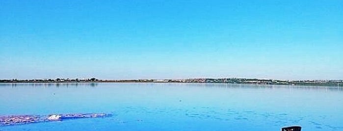 Parque Natural de Las Salinas de Torrevieja y La Mata is one of Comunidad Valenciana.