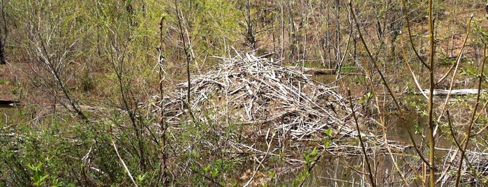 James River national Wildlife Refuge is one of National Wildlife Refuge System (East).