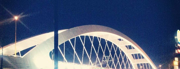 Puente Bicentenario is one of Locais curtidos por Denise.