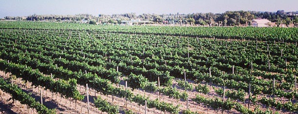 Meridiana Wine Estate is one of Michael's Saved Places.