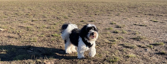 Queen Elizabeth Park Offleash Dog Park is one of Dog parks.