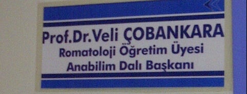 Pamukkale Univ. Tip Fak. Hastanesi Romatoloji Klinigi is one of Posti che sono piaciuti a Dr.Gökhan.