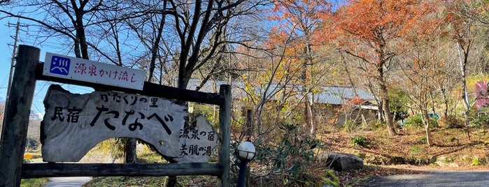 斐乃上温泉 民宿たなべ is one of Hotels.