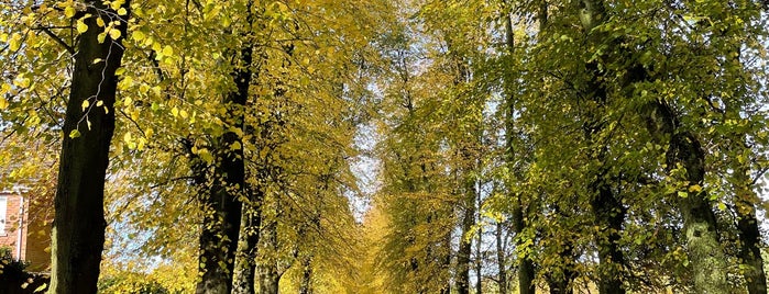 Lurgan Park is one of Ireland.