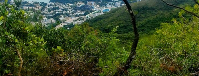 Hong Kong Trail (Section 4) is one of Hiking HKG.