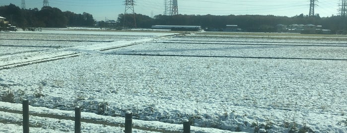 Tamado Station is one of 水戸線.