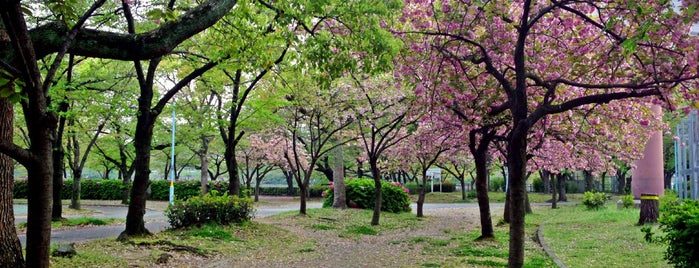 お花見スポット is one of 大阪に旅行したらココに行く！.