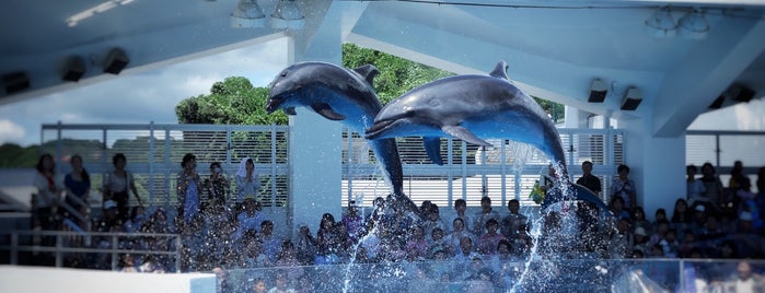 九十九島水族館 海きらら is one of Fukoka.