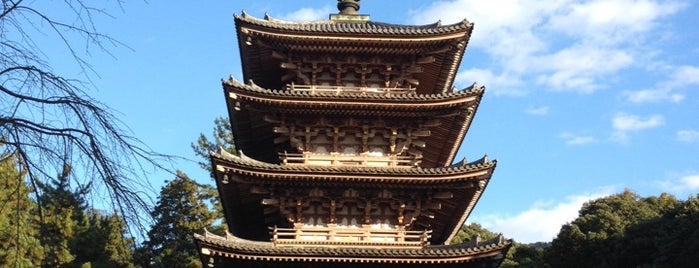 醍醐寺 五重塔 is one of Kyoto_Sanpo2.