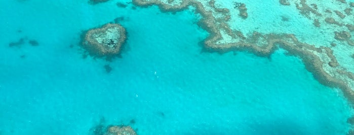 Whitsunday Airport is one of สถานที่ที่ Greg ถูกใจ.